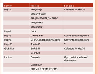 Family      Protein                   Function
Hsp40       ERdj1/Mtj1                Cofactors for Hsp70
            ERdj2/hSec63
            ERdj3/HEDJ/ERj3/ABBP-2
            ERdj4/Mdj1
            ERdj5/JPD1
Hsp60       None
Hsp70       GRP78/BiP                 Conventional chaperone
Hsp90       GRP94/endoplasmin/ERp99   Conventional chaperone
Hsp100      Torsin A?                 ?
GrpE-like   BAP/Sil1                  Cofactors for Hsp70
            GRP170
Lectins     Calnexin                  Glycoprotein-dedicated
                                      chaperones

            Calreticulin
            EDEM1, EDEM2, EDEM3
 