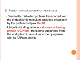 2) RETRO-TRANSLOCATION INTO THE CYTOSOL

  Terminally misfolded proteins transported from
  the endoplasmic reticulum back into cytoplasm
  by the protein complex Sec61 .
 Ubiquitin-binding factors- valosine-containing
  protein (VCP/p97) transports substrates from
  the endoplasmic reticulum to the cytoplasm
  with its ATPase activity
 