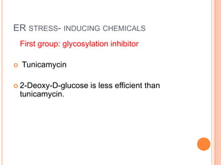 ER STRESS- INDUCING CHEMICALS
    First group: glycosylation inhibitor

   Tunicamycin

 2-Deoxy-D-glucose      is less efficient than
    tunicamycin.
 