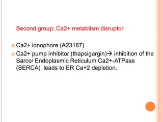 Second group: Ca2+ metablism disruptor

 Ca2+ ionophore (A23187)
 Ca2+ pump inhibitor (thapsigargin) inhibition of the
  Sarco/ Endoplasmic Reticulum Ca2+-ATPase
  (SERCA) leads to ER Ca+2 depletion.
 