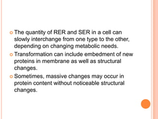  The quantity of RER and SER in a cell can
  slowly interchange from one type to the other,
  depending on changing metabolic needs.
 Transformation can include embedment of new
  proteins in membrane as well as structural
  changes.
 Sometimes, massive changes may occur in
  protein content without noticeable structural
  changes.
 