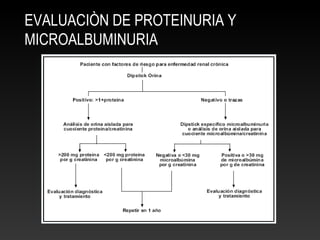 EVALUACIÒN DE PROTEINURIA Y
MICROALBUMINURIA
 