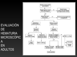 EVALUACIÓN
DE
HEMATURIA
MICROSCÓPIC
A
EN
ADULTOS
 
