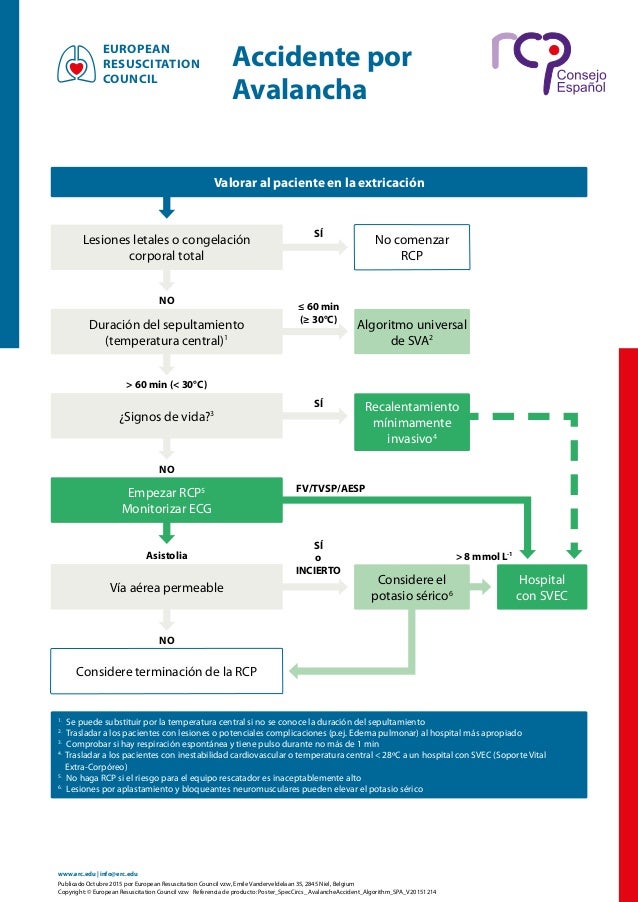 reanimaci243n cardiopulmonar b225sica rcp cpr bls reanimaci243n cardiopulmonar b225sica rcp cpr bls