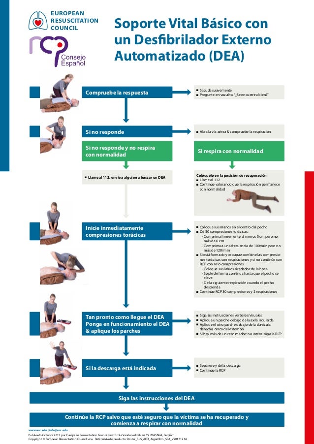 reanimaci243n cardiopulmonar b225sica rcp cpr bls reanimaci243n cardiopulmonar b225sica rcp cpr bls