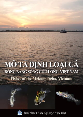 1
NHÀ XUẤT BẢN ĐẠI HỌC CẦN THƠ
MÔTẢĐỊNHLOẠI CÁ
ĐỒNGBẰNGSÔNGCỬU LONG,VIỆTNAM
Fishes of the Mekong Delta, Vietnam
 