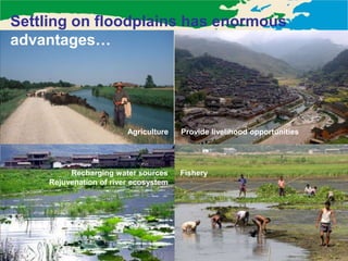 Settling on floodplains has enormous 
advantages… 
Agriculture Provide livelihood opportunities 
Recharging water sources 
Rejuvenation of river ecosystem 
Fishery 
 
