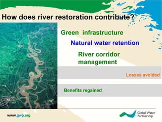 How does river restoration contribute? 
Green infrastructure 
Natural water retention 
River corridor 
management 
Losses avoided 
Benefits retained 
Benefits regained 
 
