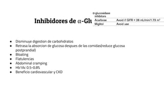 Inhibidores de α-Glucosidase
● Disminuye digestion de carbohidratos
● Retrasa la absorcion de glucosa despues de las comidas(reduce glucosa
postprandial)
● Bloating
● Flatulencias
● Abdominal cramping
● Hb1Ac 0.5-0.8%
● Beneficio cardiovascular y CKD
 