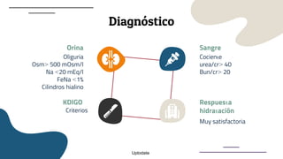 Diagnóstico
Orina
Oliguria
Osm> 500 mOsm/l
Na <20 mEq/l
FeNa <1%
Cilindros hialino
KDIGO
Criterios
Sangre
Cociente
urea/cr> 40
Bun/cr> 20
Respuesta
hidratación
Muy satisfactoria
Uptodate
 