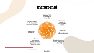 Intrarrenal
20% de FRA
adquirido en la
comunidad
Causa mas
importante
adquirido en el
hospital
Vascular,
glomerular o
tubulointersticial
Directa (isquemia,
toxinas endógenas,
exógenas)
Indirecta
(estructuras
parenquimatosas,
glomérulo, vasos,
tubulointersticial)
Obstrucción
Intratubular
Duración media
12-15 días, puede
resolver en 30 dias
Uptodate
 
