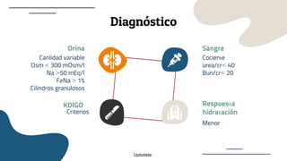 Diagnóstico
Orina
Canlidad variable
Osm < 300 mOsm/l
Na >50 mEq/l
FeNa > 1%
Cilindros granulosos
KDIGO
Criterios
Sangre
Cociente
urea/cr< 40
Bun/cr< 20
Respuesta
hidratación
Menor
Uptodate
 