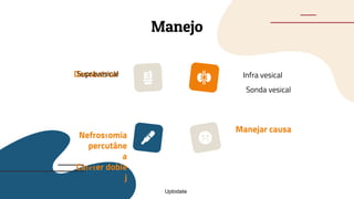 Manejo
Desobstruir
Supravesical
Nefrostomia
percutáne
a
Cateter doble
j
Infra vesical
Manejar causa
Sonda vesical
Uptodate
 
