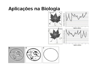 Aplicações na Biologia
 p    ç            g
 
