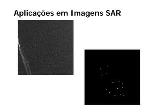 Aplicações em Imagens SAR
 