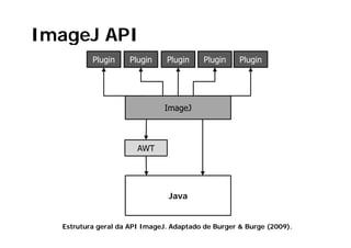 ImageJ API
          Plugin     Plugin    Plugin    Plugin     Plugin




                              ImageJ



                       AWT




                                Java


  Estrutura geral da API ImageJ. Adaptado de Burger & Burge (2009).
 