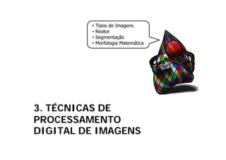 •   Tipos de Imagens
         •   Realce
         •   Segmentação
         •   Morfologia Matemática




3. TÉCNICAS DE
PROCESSAMENTO
DIGITAL DE IMAGENS
 