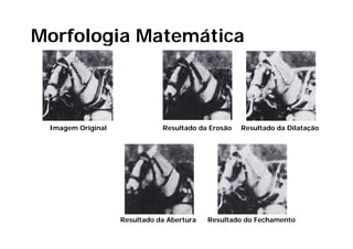 Morfologia Matemática



 Imagem Original              Resultado da Erosão   Resultado da Dilatação




                   Resultado da Abertura   Resultado do Fechamento
 