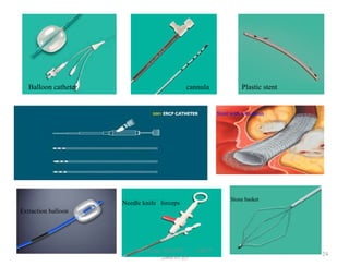 Balloon catheter cannula Plastic stent
Stent with wire mesh
Extraction balloon
Needle knife forceps
Stone basket
24
GB Thapa, BScMIT.........ERCP
2068.01.05
 