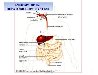 2
GB Thapa, BScMIT.........ERCP
2068.01.05
 
