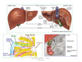 3
GB Thapa, BScMIT.........ERCP
2068.01.05
 