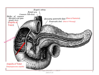 (Duct of Wirsung)
(Duct of Sartorini)
(Papilla of
Vater)
Ampulla of Vater
(Hepatopancreatic ampulla)
Kerckring's folds
5
GB Thapa, BScMIT.........ERCP
2068.01.05
 