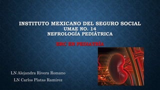 INSTITUTO MEXICANO DEL SEGURO SOCIAL
UMAE NO. 14
NEFROLOGÍA PEDIÁTRICA
ERC EN PEDIATRÍA
LN Alejandra Rivera Romano
LN Carlos Platas Ramírez
 