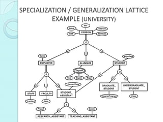 SPECIALIZATION / GENERALIZATION LATTICE
          EXAMPLE (UNIVERSITY)
 