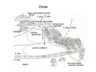 Zónák
 