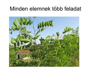 Minden elemnek több feladat
 
