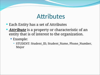 Comprehensive Guide to Entity-Relationship Diagrams (ERD) and Entity ...