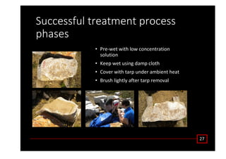 ^ƵĐĐĞƐƐĨƵů ƚƌĞĂƚŵĞŶƚ ƉƌŽĐĞƐƐ
ƉŚĂƐĞƐ
• WƌĞͲǁĞƚ ǁŝƚŚ ůŽǁ ĐŽŶĐĞŶƚƌĂƚŝŽŶ
ƐŽůƵƚŝŽŶ
• ĞĞƉ ǁĞƚ ƵƐŝŶŐ ĚĂŵƉ ĐůŽƚŚ
• ŽǀĞƌ ǁŝƚŚ ƚĂƌƉ ƵŶĚĞƌ ĂŵďŝĞŶƚ ŚĞĂƚ
• ƌƵƐŚ ůŝŐŚƚůǇ ĂĨƚĞƌ ƚĂƌƉ ƌĞŵŽǀĂů
Ϯϳ
 