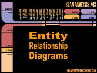 Entity Relationship Diagrams 