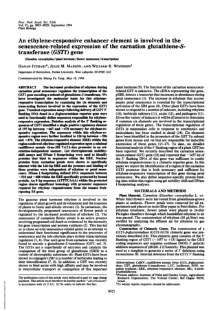 Proc. Nadl. Acad. Sci. USA
Vol. 91, pp. 8925-8929, September 1994
Plant Biology
An ethylene-responsive enhancer element is involved in the
senescence-related expression of the carnation glutathione-S-
transferase (GSTI) gene
(Dianhus caryophyllusplant hormone/flower senescence/transcription)
HANAN ITZHAKI*, JULIE M. MAXSON, AND WILLIAM R. WOODSONt
Department of Horticulture, Purdue University, West Lafayette, IN 47907-1165
Communicated by Shang Fa Yang, May 16, 1994
ABSTRACT The increased production of ethylene during
carnation petal senescence regulates the transcription of the
GSTI geneencoding a subunit ofglutathione-S-transferase. We
have investigated the molecular basis for this ethylene-
responsive transcription by examining the cis elements and
trans-acting factors involved in the expression of the GSTI
gene. Transient expression assays following delivery ofGSTI 5'
flanking DNA fused to a P-glucuronidase reporter gene were
used to functionally define sequences responsible for ethylene-
responsive expression. Deletion analysis of the 5' fanking se-
quences ofGST1 identifted a single positive regulatory element
of 197 bp between -667 and -470 necesary for ethylene-re-
sponsive expression. The sequences within this ethylene-re-
sponsive region were further localized to 126 bp between -596
and -470. The ethylene-responsive element (ERE) within this
regionconferred ethylene-regulated expression upon a mi l
cauliflower mosaic virus-35S TATA-box promoter in an ori-
entation-independent manner. Gel electrophoresis mobility-
shift assays and DNase I footprinting were used to identify
proteins that bind to sequences within the ERE. Nuclear
proteins from carnation petals were shown to specifically
interact with the 126-bp ERE and the presence and binding of
these proteins were independent of ethylene or petal senes-
cence. DNase I footprinting defined DNA sequences between
-510 and -488 within the ERE specifically protectedby bound
protein. An 8-bp sequence (ATTTCAAA) within the protected
region shares si ant homology with promoter sequences
required for ethylene responsiveness from the tomato fruit-
ripening E4 gene.
The gaseous plant hormone ethylene is involved in the
regulation ofplant growth and development and the response
ofplants to biotic and abiotic stresses (1). In carnations, the
developmentally programed senescence of flower petals is
regulated by the increased production of ethylene (2). The
senescence of carnation flower petals is an active process
involving programed cell death as evidenced by the necessity
for gene transcription and protein synthesis (2). This has led
us to clone several senescence-related genes in an attempt to
understand their functional significance to the processes of
senescence and the role ethylene plays in theirtranscriptional
regulation (3, 4). One such gene from carnation was recently
found to encode a glutathione-S-transferase (GST; ref. 5).
The GSTs are a superfamily of enzymes and catalyze the
conjugation of the thiol group of glutathione (GSH) to a
variety of electrophilic substrates (6). Plant GSTs have been
shown to conjugate GSH to a number ofherbicides leading to
their detoxification (7, 8). In addition, a GST was recently
shown to bind auxin with high affinity and may be involved
in intercellular transport or conjugation of this important
plant hormone (9). The function ofthe carnation senescence-
related GST is unknown. The cDNA representing this gene,
pSR8, detects a transcript that increases in abundance during
petal senescence (3). The increase in ethylene that accom-
panies petal senescence is essential for the transcriptional
activation of the SR8 gene (4). Other plant GSTs have been
shown to respond to anumberofinducers, including ethylene
(10), herbicide safeners (11), auxin (12), and pathogens (13).
Given the variety ofinducers it willbe ofinterestto determine
if common cis elements are involved in the transcriptional
regulation of these genes. The transcriptional regulation of
GSTs in mammalian cells in response to xenobiotics and
antioxidants has been studied in detail (14). Cis elements
have been identified in the promoters ofthe GST Ya subunit
genes from mouse and rat that are responsible for inducible
expression of these genes (15-17). To date, no detailed
functional analysis ofthe 5' flanking region ofaplant GSThas
been reported. We recently described the carnation senes-
cence-related GSTJ gene (18) and reported that -1457 bp of
the 5' flanking DNA of this gene was sufficient to confer
ethylene responsiveness to a chimeric reporter gene. In this
paper we report the identification ofa region ofthe carnation
GSTI promoter that is both necessary and sufficient for
ethylene-responsive transcription of this gene during petal
senescence. We also define sequence-specific protein bind-
ing sites within this region using gel mobility-shift and DNase
I footprinting analyses.
MATERIALS AND METHODS
Plant Material. Carnation (Dianthus caryophyllus L. cv.
White Sim) flowers were harvested from greenhouse-grown
plants at anthesis. Flower petals were removed for all ex-
periments and placed on moistfilterpaperinPetri dishes. For
ethylene treatment, flower petals were placed in 24-liter
Plexiglas chambers through which humidified ethylene in air
was passed. The concentration of ethylene (10 A/liter) was
verified by analyzing the effluent air for ethylene by gas
chromatography.
Construction of Chimeric Genes. The construction of a
GSTI-f3-glucuronidase (GSTI-GUS) chimeric gene was pre-
viously described (18). This chimeric gene consists of the 5'
flanking region of GSTI (-1457 to +15) ligated to the GUS
coding sequences and nopaline synthase (NOS) 3' poly(A)
addition sequences ofpBI201.2 (Clontech). This plasmid was
used as a template to generate a series of 5' deletions using
exonuclease III. Internal deletions from the GSTJ 5' flanking
Abbreviations: CaMV, cauliflower mosaic virus; GUS, frglucuroni-
dase; GST, glutathione-S-transferase; LUC, luciferase; NOS, no-
paline synthase; ERE, ethylene-responsive element; MU, 4-meth-
ylumbelliferone.
*Present address: Institute of Field and Garden Crops, Agricultural
Research Organization, The Volcani Center, Bet Dagan 50250,
Israel.
to whom reprint requests should be addressed.
8925
The publication costs of this article were defrayed in part by page charge
payment. This article must therefore be hereby marked "advertisement"
in accordance with 18 U.S.C. §1734 solely to indicate this fact.
Downloaded
by
guest
on
October
29,
2020
 