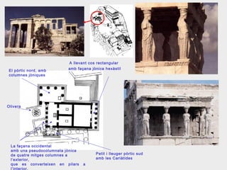 El pòrtic nord, amb
columnes jòniques
A llevant cos rectangular
Olivera
La façana occidental
amb una pseudocolumnata jònica
de quatre mitges columnes a
l’exterior,
que es converteixen en pilars a
l’interior.
Petit i lleuger pòrtic sud
amb les Cariàtides
amb façana jònica hexàstil
 