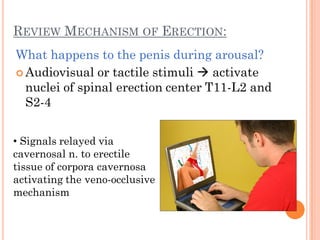 REVIEW MECHANISM OF ERECTION:
What happens to the penis during arousal?
 Audiovisual or tactile stimuli  activate
  nuclei of spinal erection center T11-L2 and
  S2-4


• Signals relayed via
cavernosal n. to erectile
tissue of corpora cavernosa
activating the veno-occlusive
mechanism
 