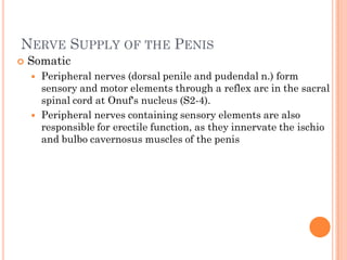 NERVE SUPPLY OF THE PENIS
   Somatic
       Peripheral nerves (dorsal penile and pudendal n.) form
        sensory and motor elements through a reflex arc in the sacral
        spinal cord at Onuf's nucleus (S2-4).
       Peripheral nerves containing sensory elements are also
        responsible for erectile function, as they innervate the ischio
        and bulbo cavernosus muscles of the penis
 