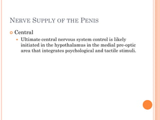 NERVE SUPPLY OF THE PENIS
   Central
       Ultimate central nervous system control is likely
        initiated in the hypothalamus in the medial pre-optic
        area that integrates psychological and tactile stimuli.
 