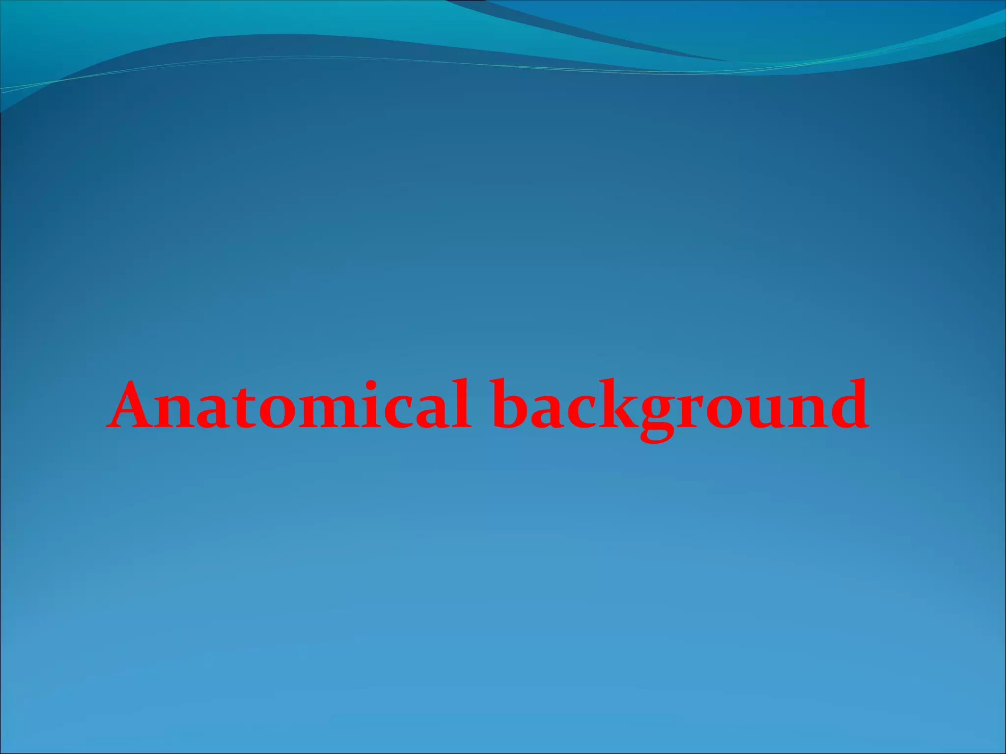 Anatomical background
 