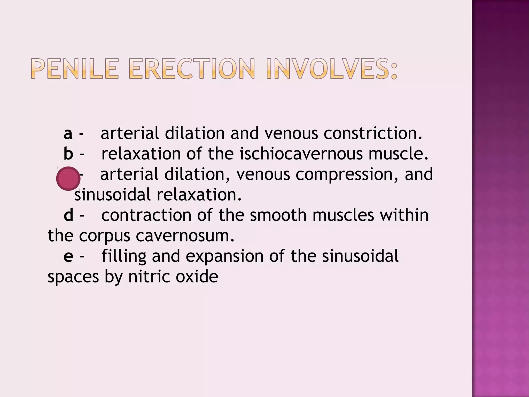   
a -   arterial dilation and venous constriction.
   b -   relaxation of the ischiocavernous muscle.
   c -   arterial dilation, venous compression, and
sinusoidal relaxation.
   d -   contraction of the smooth muscles within
the corpus cavernosum.
   e -   filling and expansion of the sinusoidal
spaces by nitric oxide
 