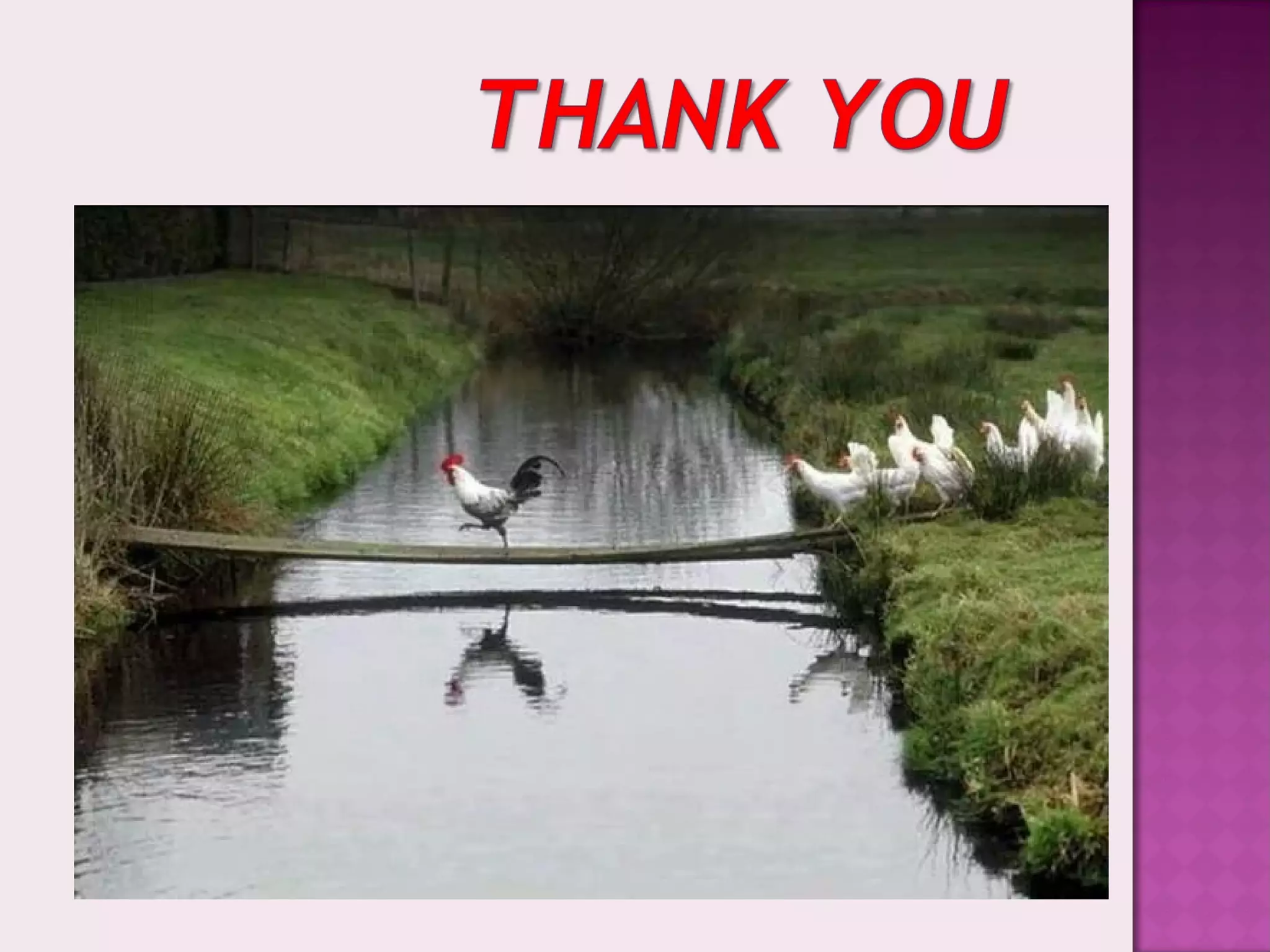 Erectile dysfunction