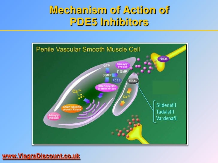 Cialis bph mechanism of action