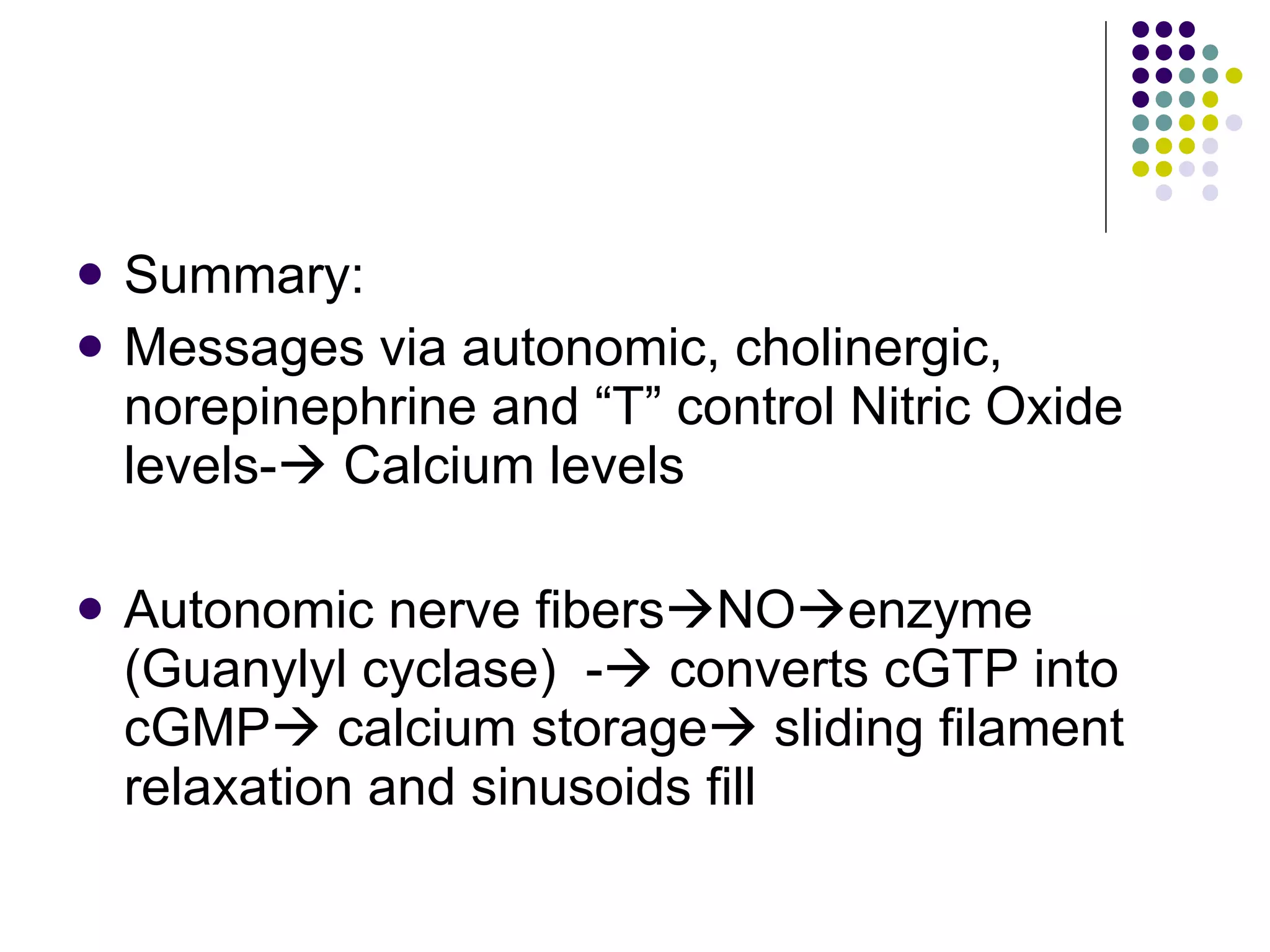 Summary: Messages via autonomic, cholinergic, norepinephrine and “T” control Nitric Oxide levels-   Calcium levels Autonomic nerve fibers  NO  enzyme (Guanylyl cyclase)  -   converts cGTP into cGMP   calcium storage   sliding filament relaxation and sinusoids fill 