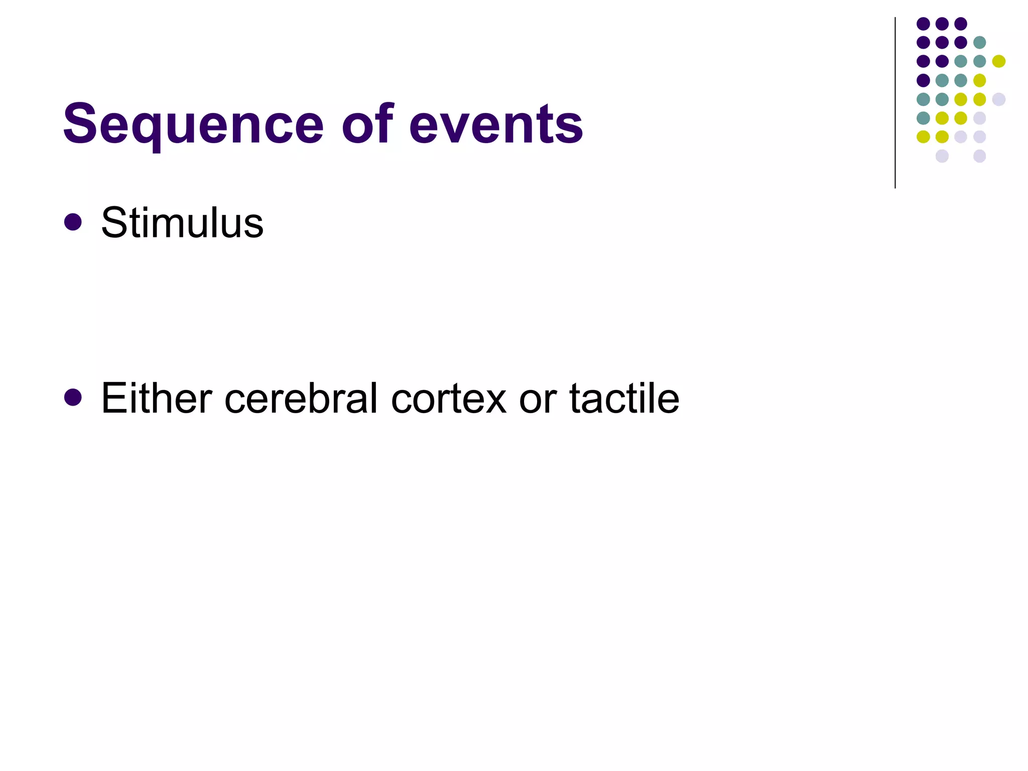 Sequence of events Stimulus Either cerebral cortex or tactile 