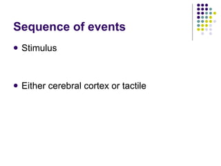 Sequence of events Stimulus Either cerebral cortex or tactile 