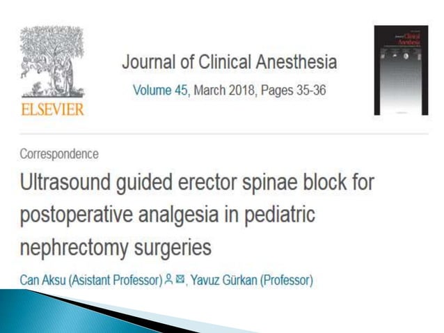 Erector spinae plane block for pain management | PPTX