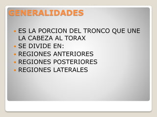 GENERALIDADES
 ES LA PORCION DEL TRONCO QUE UNE
LA CABEZA AL TORAX
 SE DIVIDE EN:
 REGIONES ANTERIORES
 REGIONES POSTERIORES
 REGIONES LATERALES
 