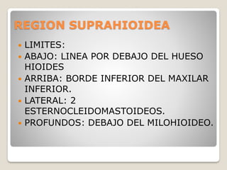 REGION SUPRAHIOIDEA
 LIMITES:
 ABAJO: LINEA POR DEBAJO DEL HUESO
HIOIDES
 ARRIBA: BORDE INFERIOR DEL MAXILAR
INFERIOR.
 LATERAL: 2
ESTERNOCLEIDOMASTOIDEOS.
 PROFUNDOS: DEBAJO DEL MILOHIOIDEO.
 
