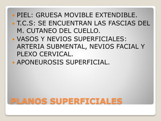 PLANOS SUPERFICIALES
 PIEL: GRUESA MOVIBLE EXTENDIBLE.
 T.C.S: SE ENCUENTRAN LAS FASCIAS DEL
M. CUTANEO DEL CUELLO.
 VASOS Y NEVIOS SUPERFICIALES:
ARTERIA SUBMENTAL, NEVIOS FACIAL Y
PLEXO CERVICAL.
 APONEUROSIS SUPERFICIAL.
 