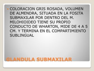 GLANDULA SUBMAXILAR
 COLORACION GRIS ROSADA, VOLUMEN
DE ALMENDRA, SITUADA EN LA FOSITA
SUBMAXILAR POR DENTRO DEL M.
MILOHIOIDEO TIENE SU PROPIO
CONDUCTO DE WHARTON, MIDE DE 4 A 5
CM. Y TERMINA EN EL COMPARTIMIENTO
SUBLINGUAL
 